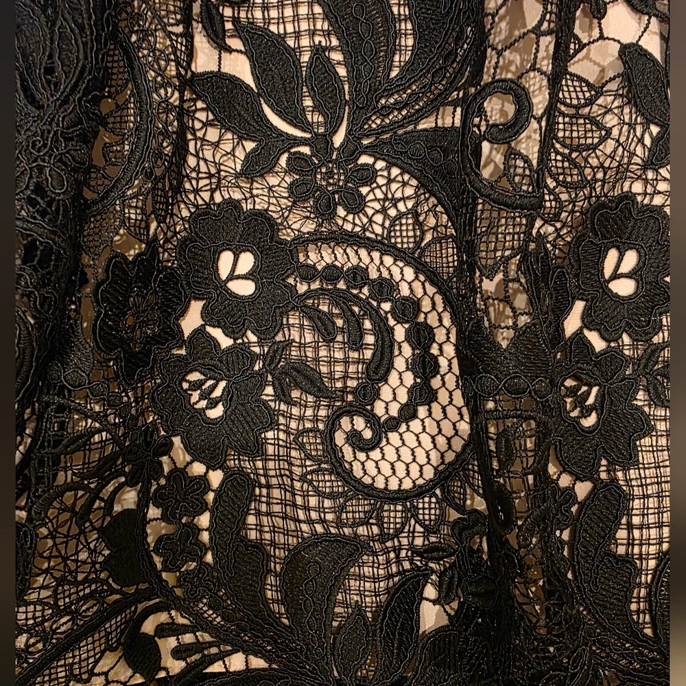 NWT Monique Lhuillier Lace Spaghetti Strap Silk-Lined Dress Size 4 - Picture 5 of 6